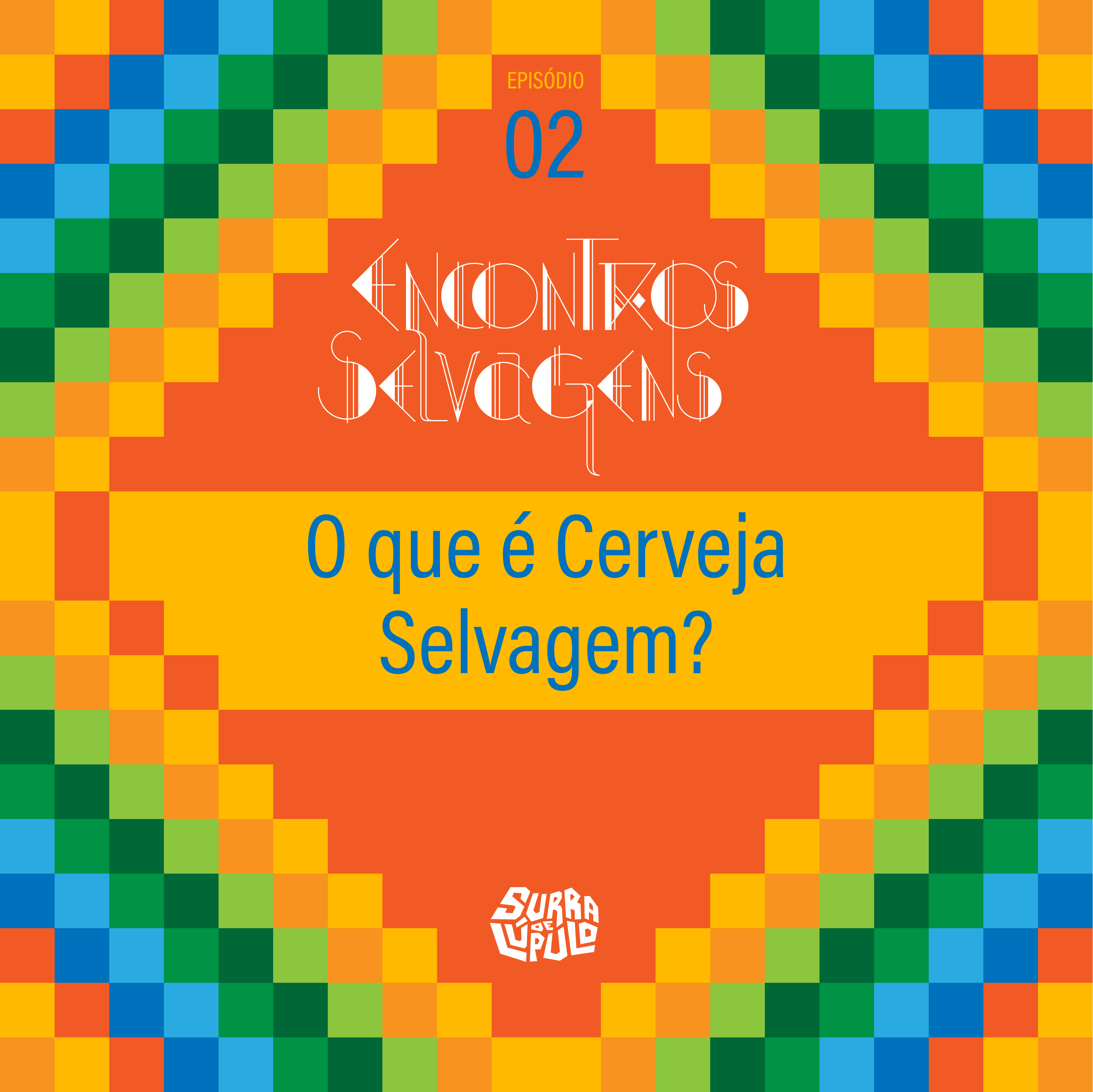 O que é cerveja selvagem?