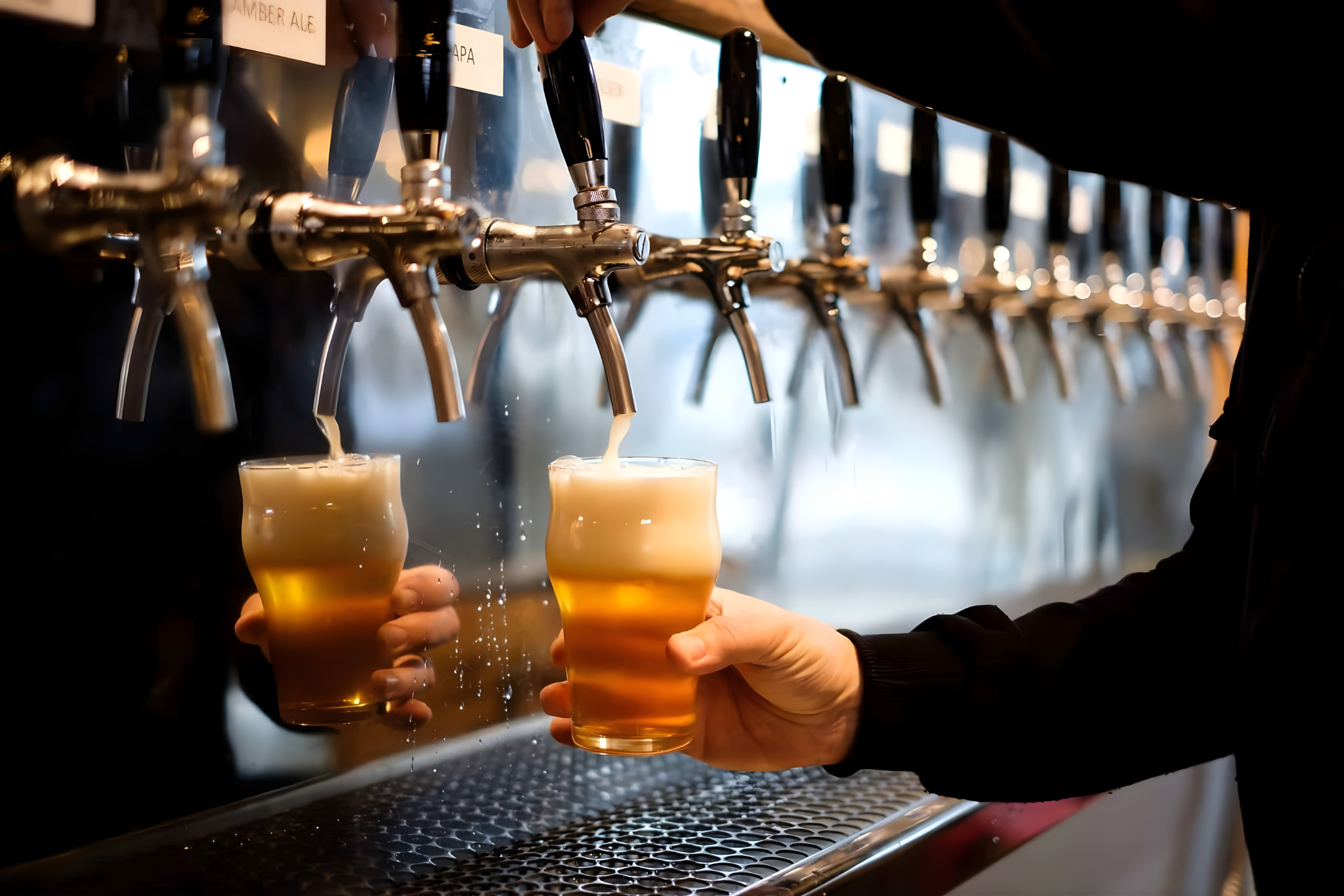 Cerveja Artesanal - Surra de Lúpulo