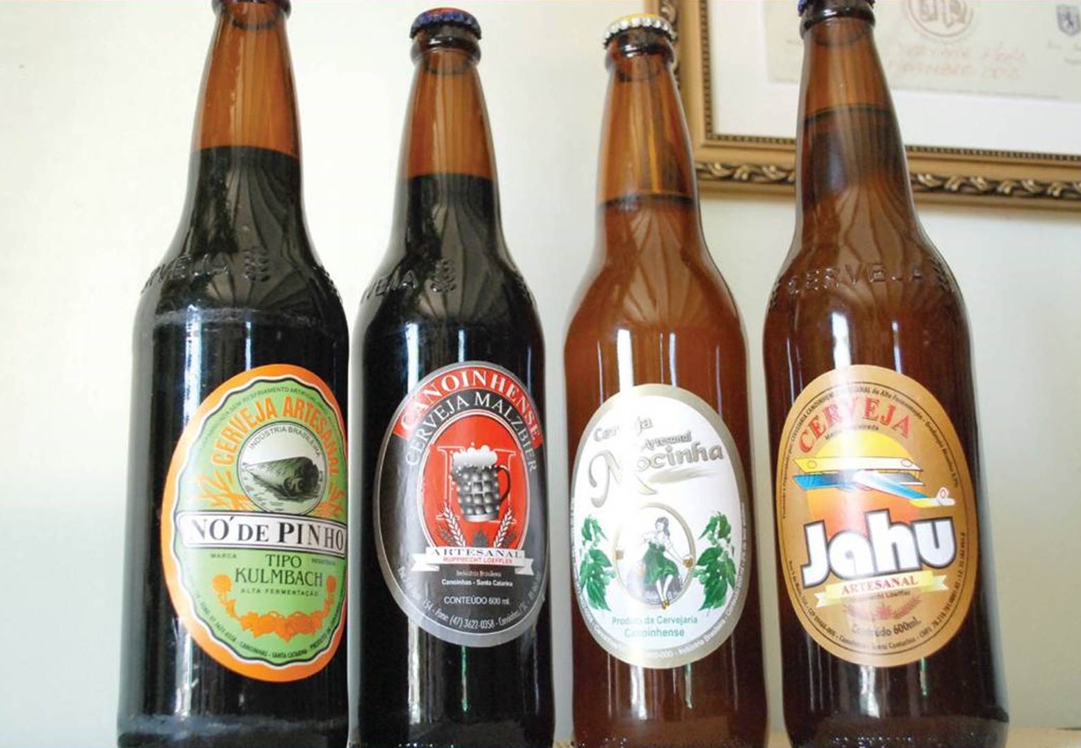 Portfólio - Canoinhense