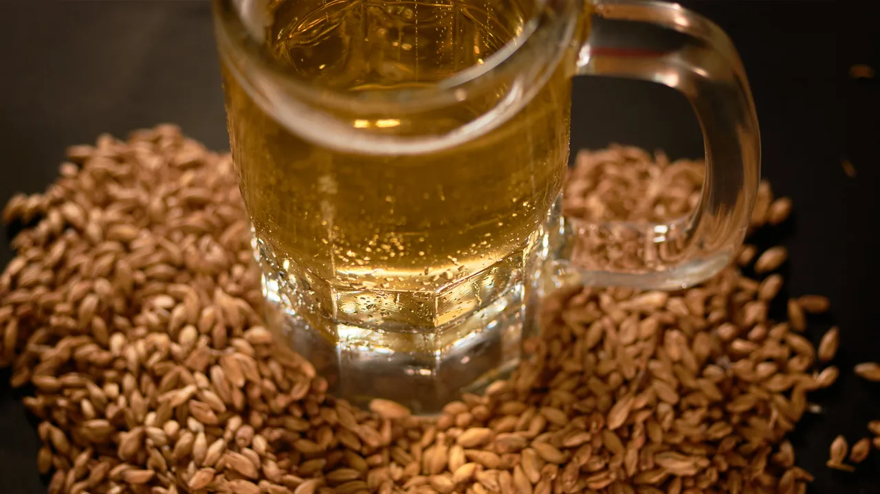 Mitos cervejeiros - puro malte