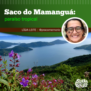 2023_07_22_Surra_Colunistas_Ligia10